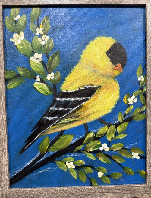 Goldfinch Perched in Flowering Shrub